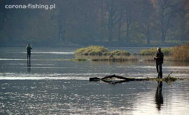 łowienie z główki