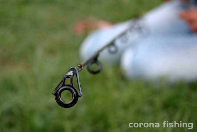 wędkarstwo - wędka