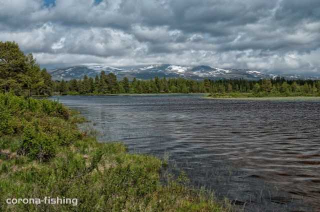 duża rzeka Norwegia