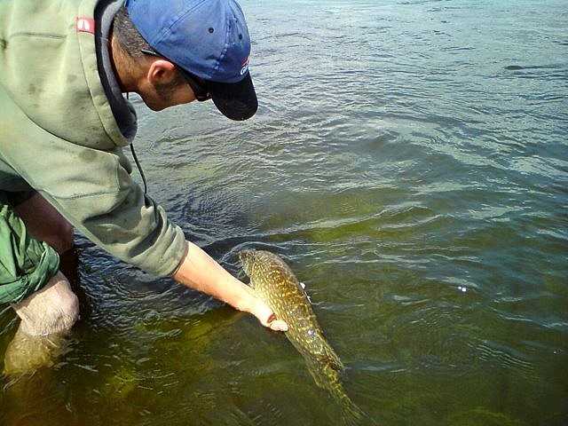 Posezonowe przemyślenia