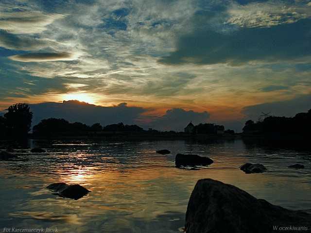 Białe drapieżniki nocą.
