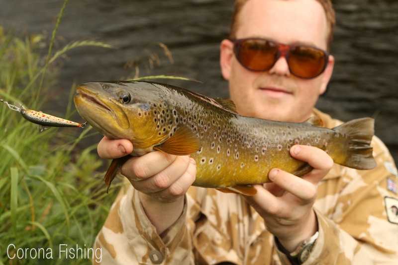 pstrąg na wobler