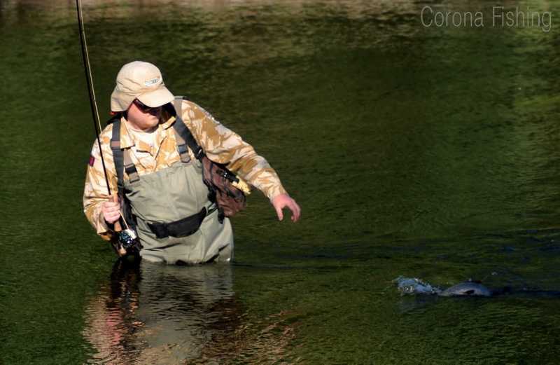 holowanie ryby na muchę