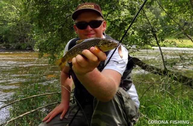 Deszczowe lorbaski... Czyli pstrągi w Norwegii.