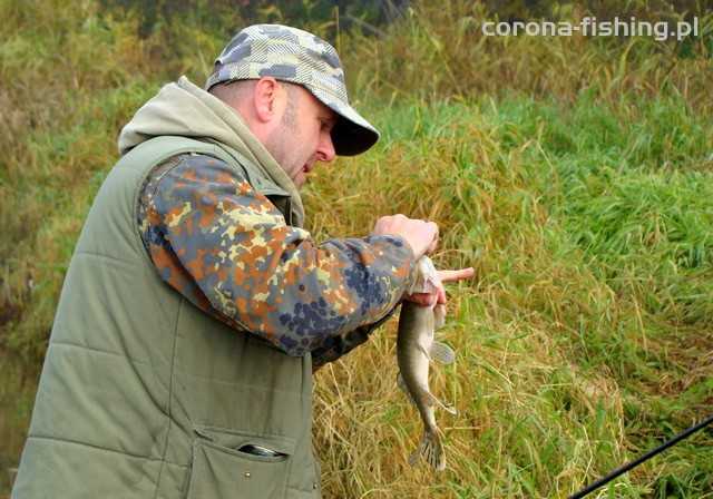 odhaczanie szczupaka