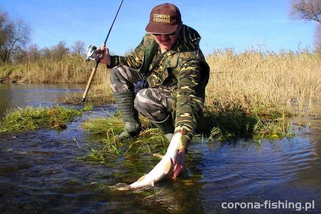 podbieranie szczupaka