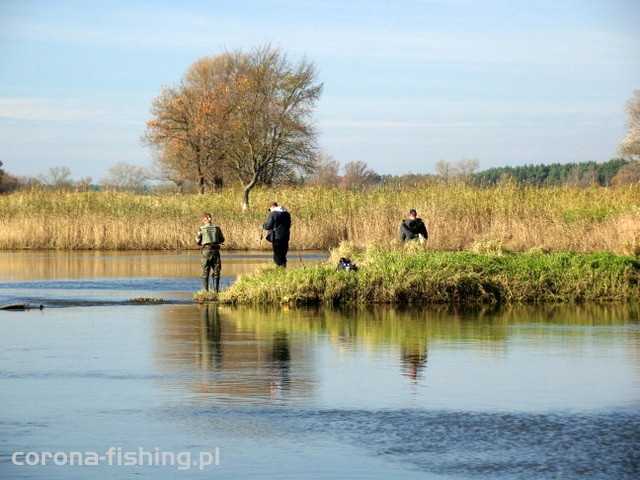 łowienie na główce