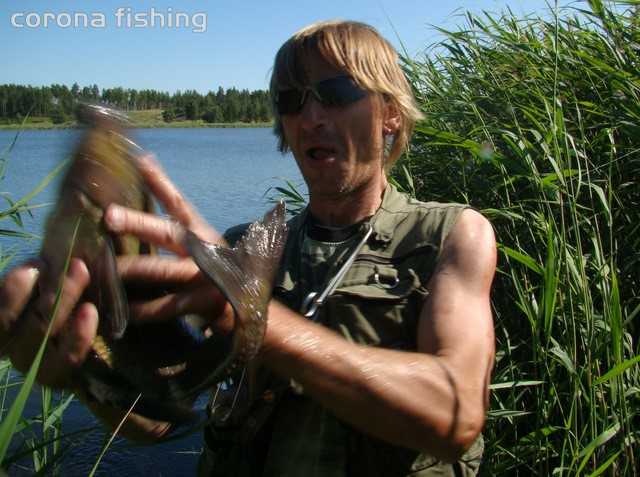 Wspomnienia karasia.