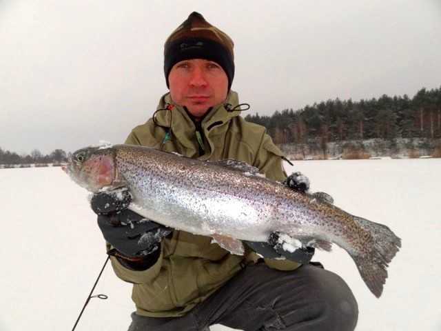 pstrag tęczowy spod lodu