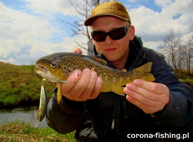 pstrąg z mereczanki