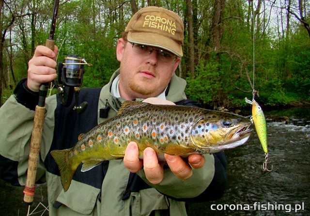 pstrąg, litwa, mereczanka