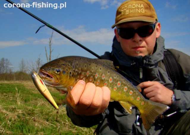 pstrąg  z mereczanki