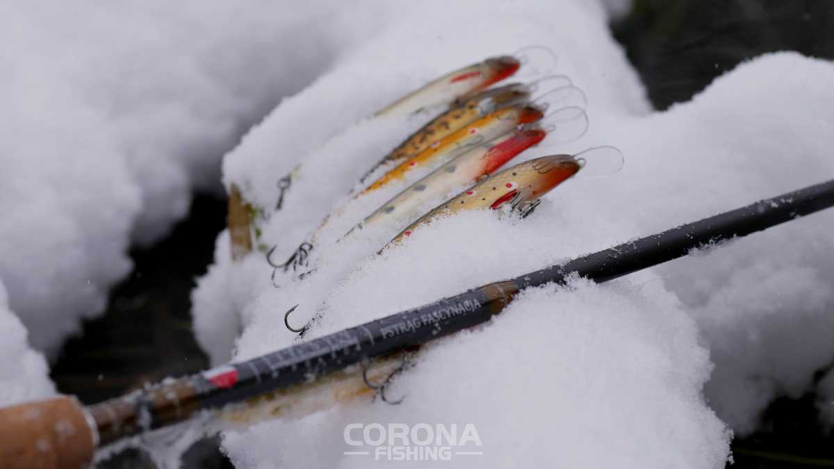 woblery na pstrągi w styczniu