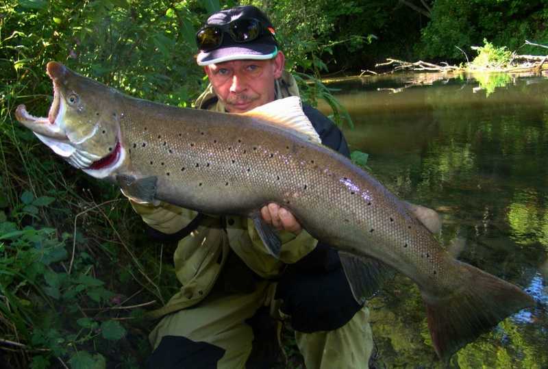 troć na wahadłówkę