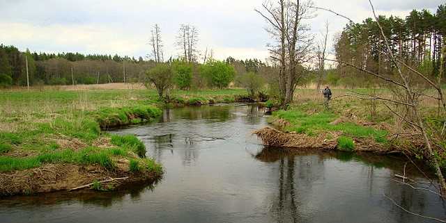 mereczanka na litwie