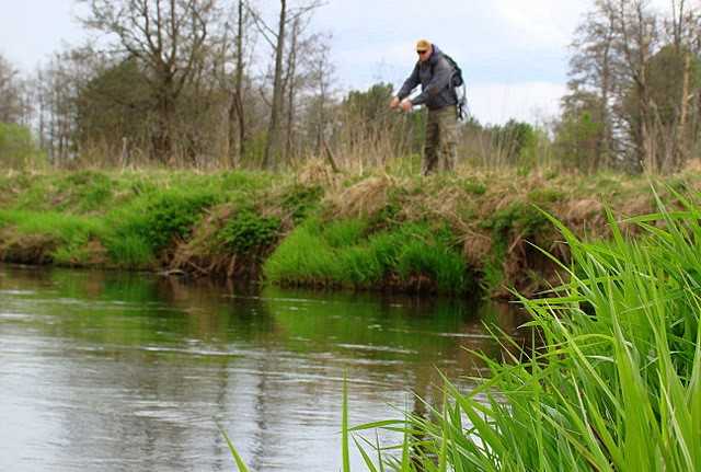 wędkarz na merkys