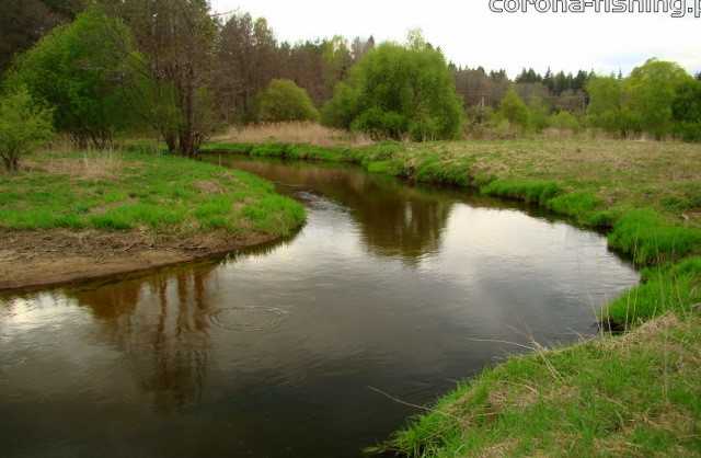 meandry rzeki merkys