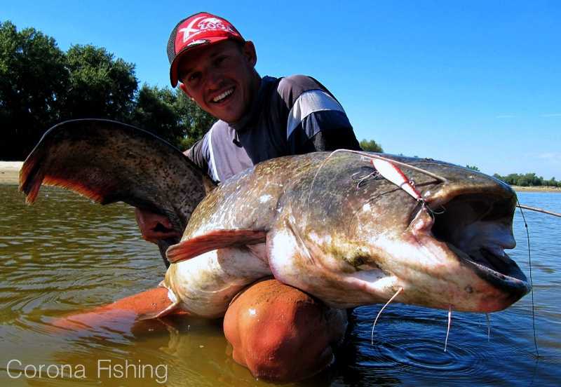 woblery tomka miernika