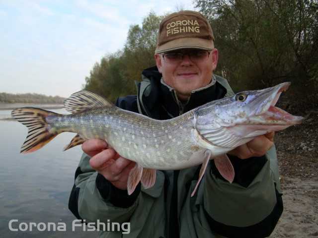 spinning - szcupak z Wisły
