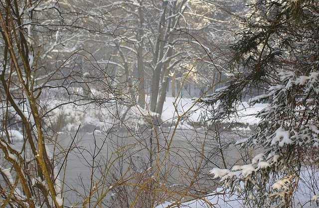 łowienie troci w rzece