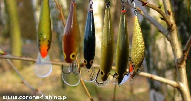 Woblerkowe poszukiwania