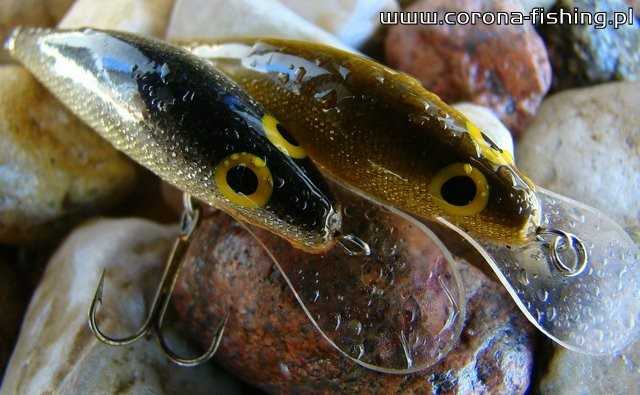 Woblerkowe poszukiwania