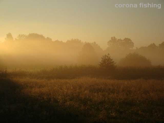 Sierpniowe strzygowanie.