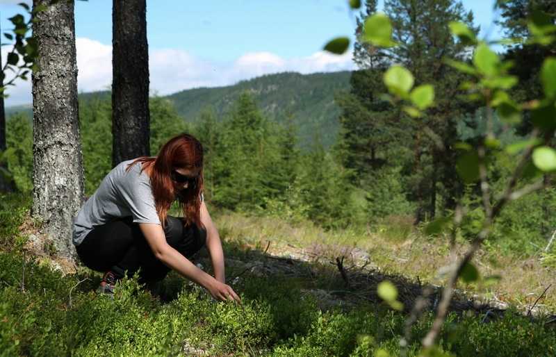 Moja pierwsza wyprawa. Poradnik survivalowy
