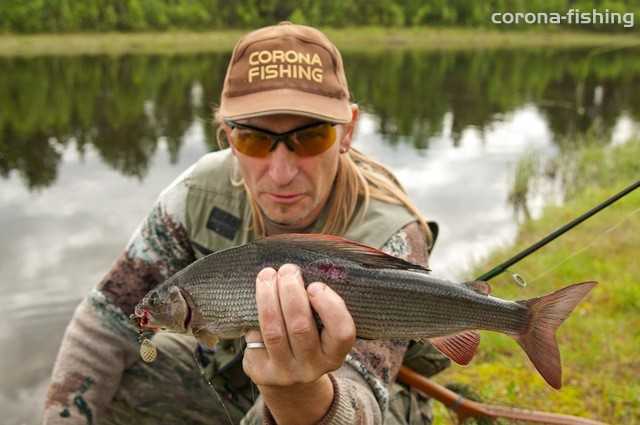lipień na spinnining norwegia