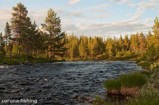 górska rzeka Norwegia