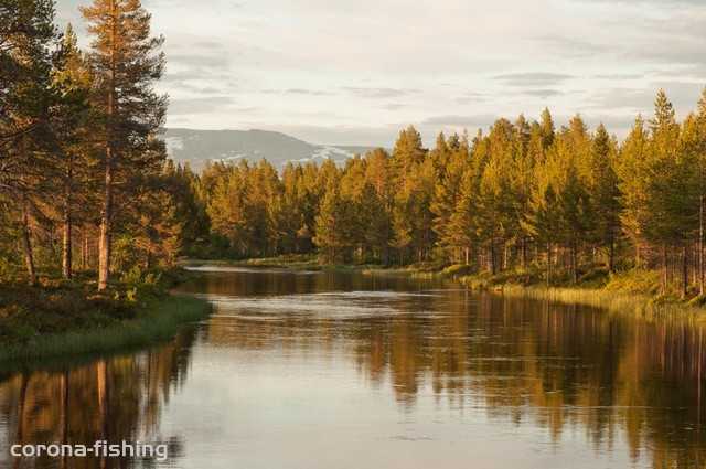 górska rzeka Norwegia