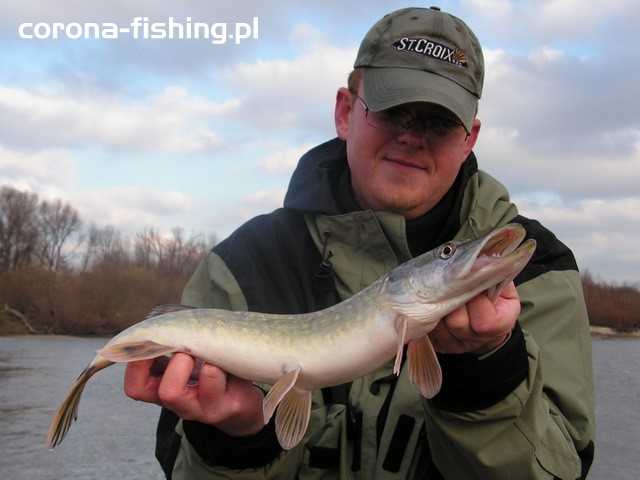 szczupak w zimę