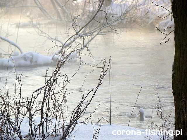 rzeka w zimę