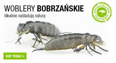bobrzańskie