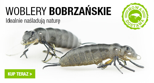 bobrzańskie