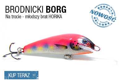 Borg