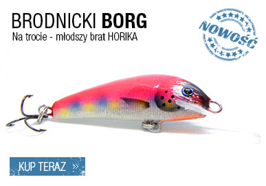 Borg