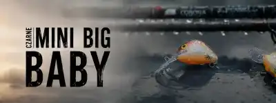 Mini Big Baby