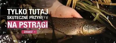 na pstrągi