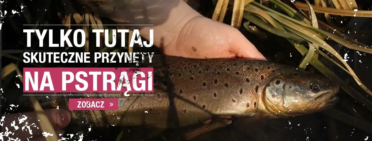 na pstrągi
