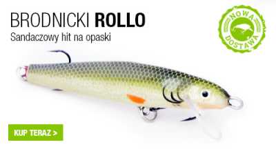 Rollo