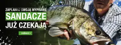 Na sandacza
