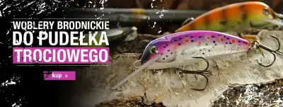 brodnickie na troć