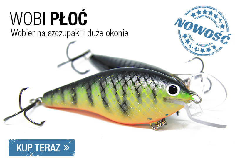Płoć łamana