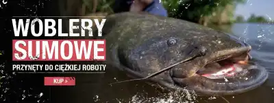Woblery sumowe