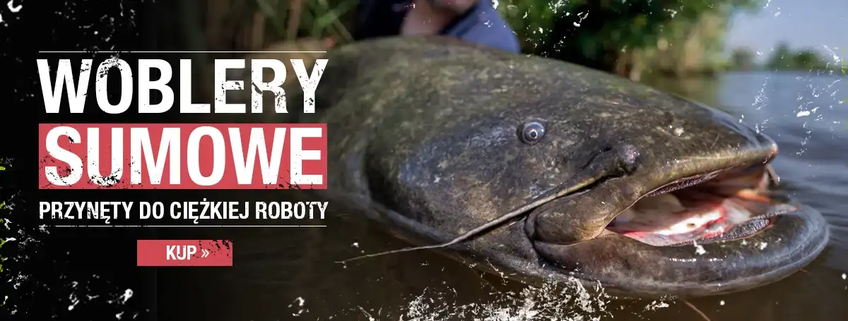 Woblery sumowe
