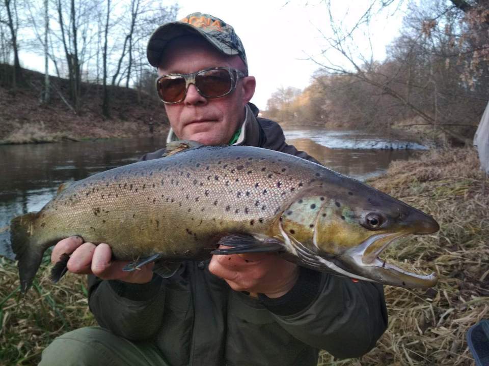 Kalendarz brań troci 3