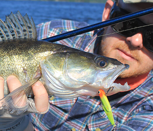 Sezon na <b>sandacza</b>