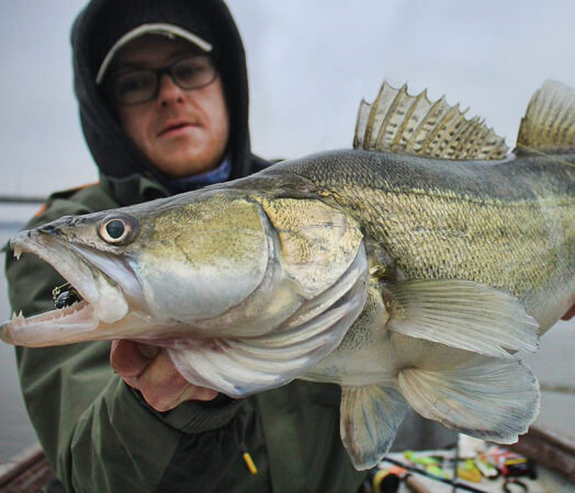 Sezon na <b>sandacza</b>