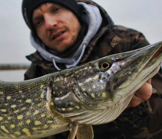 Sezon na <b>szczupaka</b>